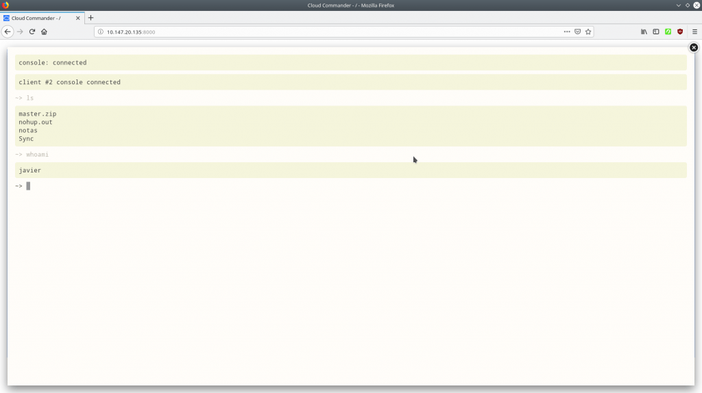 Captura de pantalla que muestra la terminal de la aplicación Cloud commander desplegada y luego de ejecutar algunas órdenes.