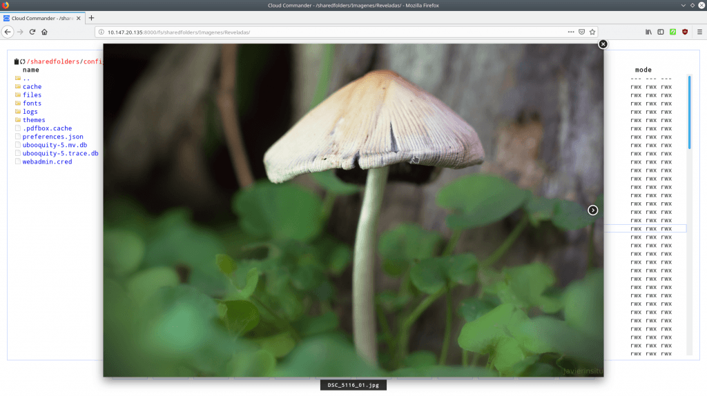 Captura de pantalla mostrando la fotografia de un hongo, visualizado mediante el visor de imágenes de Cloud Commander.